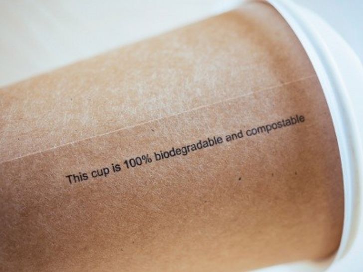 Biodegradable Cup