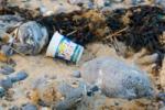 Research carried out by Eunomia Research and Consulting found that these schemes will effectively reduce the amount of single-use plastic litter in the Mediterranean region