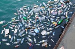 A recent survey conducted by YouGov for Keep Britain Tidy has found that few people understand the link between inland waste and marine plastic