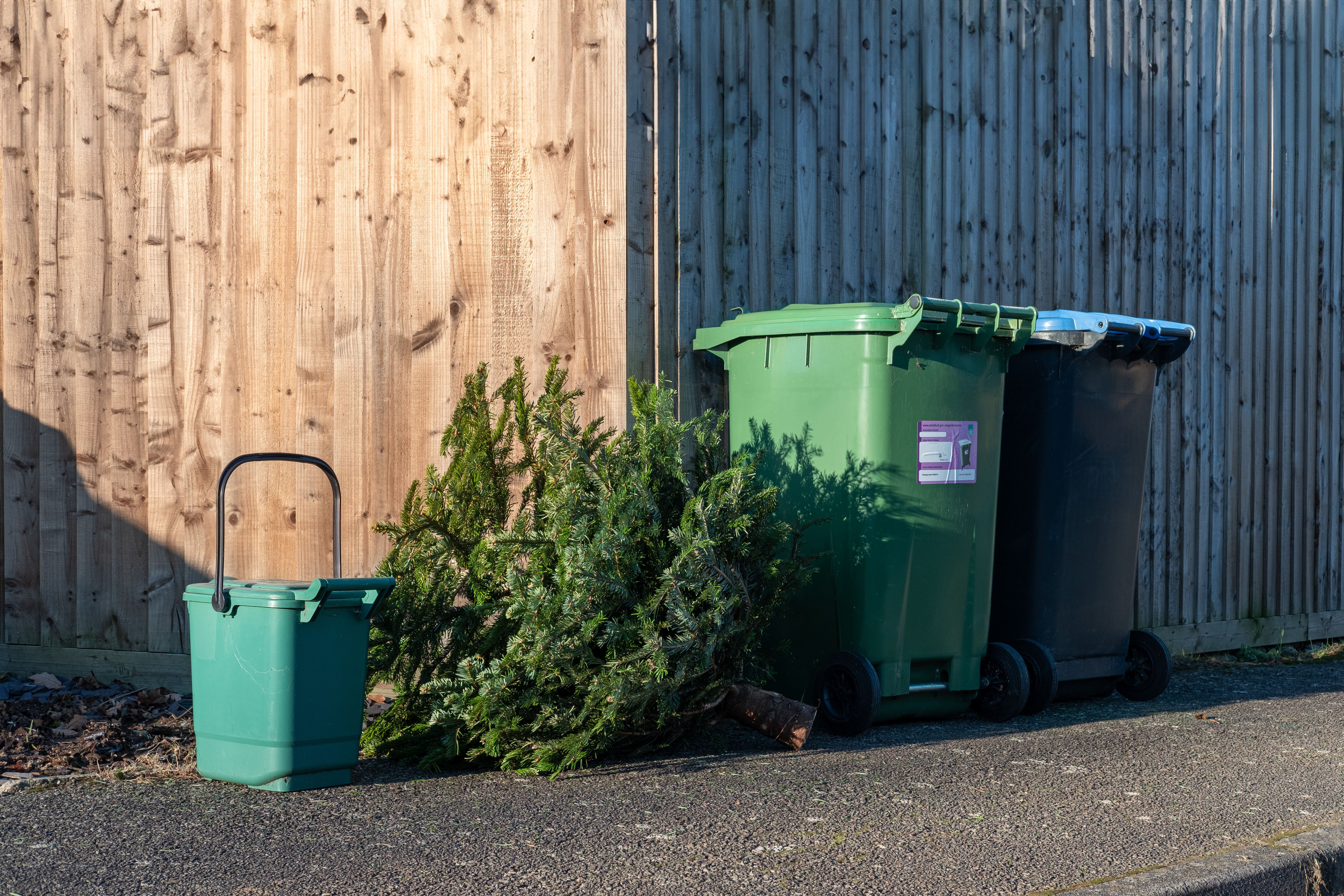 Government announces £295m to help councils tackle food waste ...