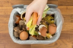 The scheme will introduce bins, kitchen caddies, and biodegradable liners to 8,200 homes