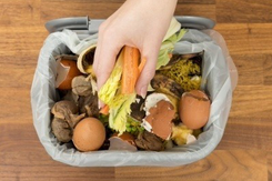 The scheme will introduce bins, kitchen caddies, and biodegradable liners to 8,200 homes