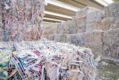 Michael Orye, Managing Director for Recycling at DS Smith, explains what the future holds for paper and card recycling rates, and what is required to bring them back on track.
