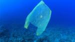 The film, which details the full extent of the ongoing plastic pollution crisis, won the award last week
