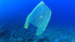 The film, which details the full extent of the ongoing plastic pollution crisis, won the award last week