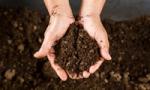 The Compost Foundation is hosting an International Compost Awareness Week from 2-8 May to raise awareness about the benefits of composting