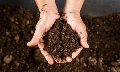 The Compost Foundation is hosting an International Compost Awareness Week from 2-8 May to raise awareness about the benefits of composting