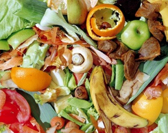 The group proposes a plan to address the 153.5 million tonnes of EU food lost each year