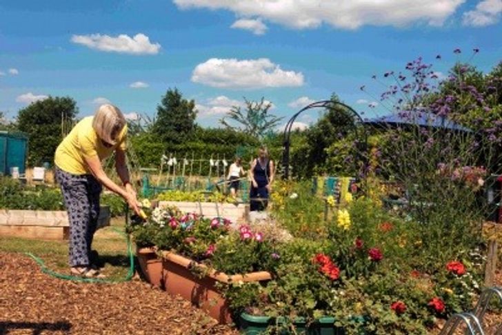 Food waste Hubbub Elmbridge Eco Hub