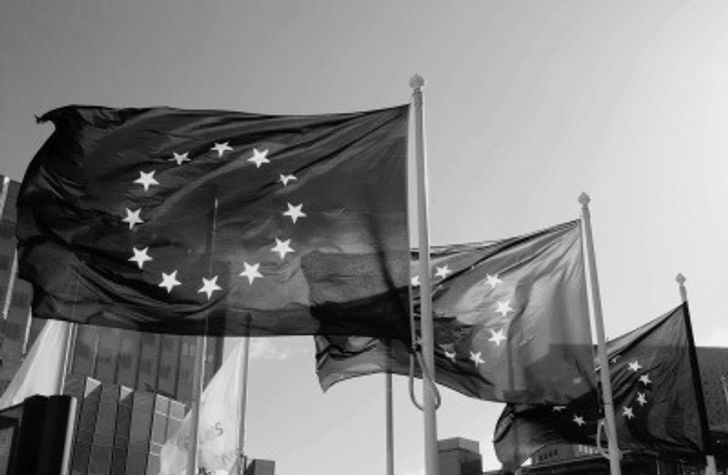 EU flag black and white