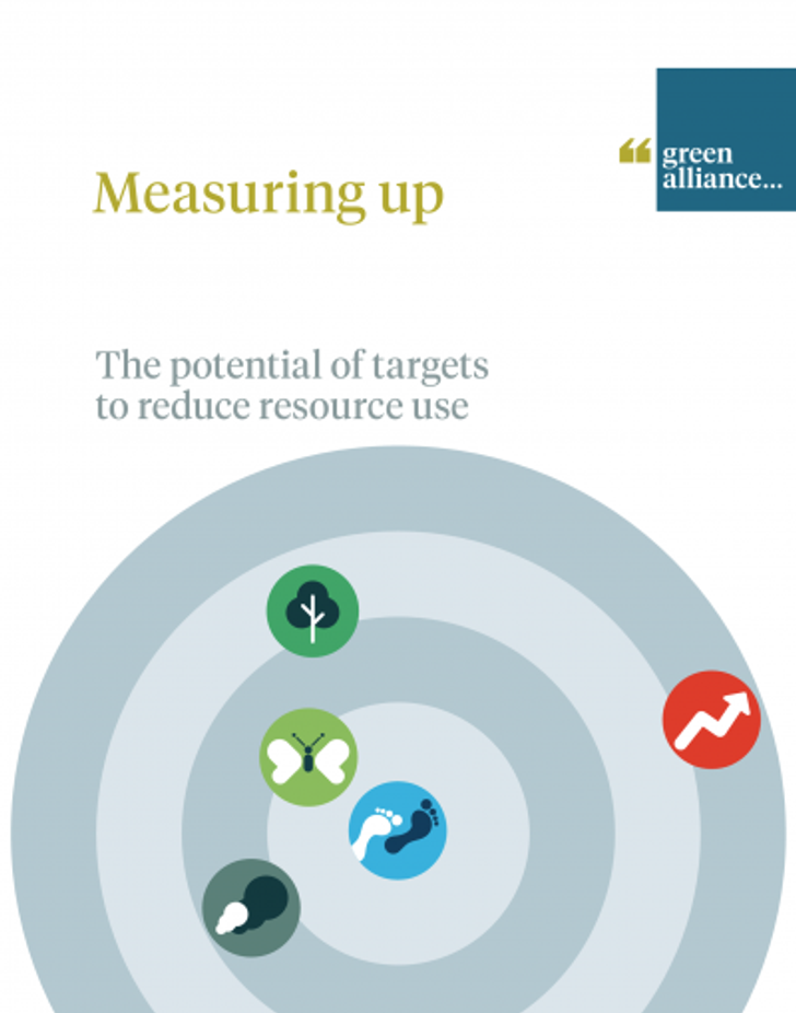 Illustrated image with environmental icons from the cover of the Measuring Up report