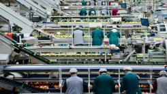 Food production