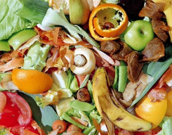 Industry heads have had to ‘deprioritise’ food waste as they grapple with challenges