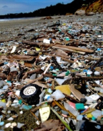 Planet Tracker’s study observes missed negligible targets and poor investment