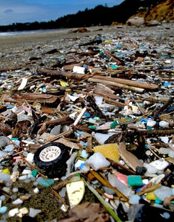 Planet Tracker’s study observes missed negligible targets and poor investment