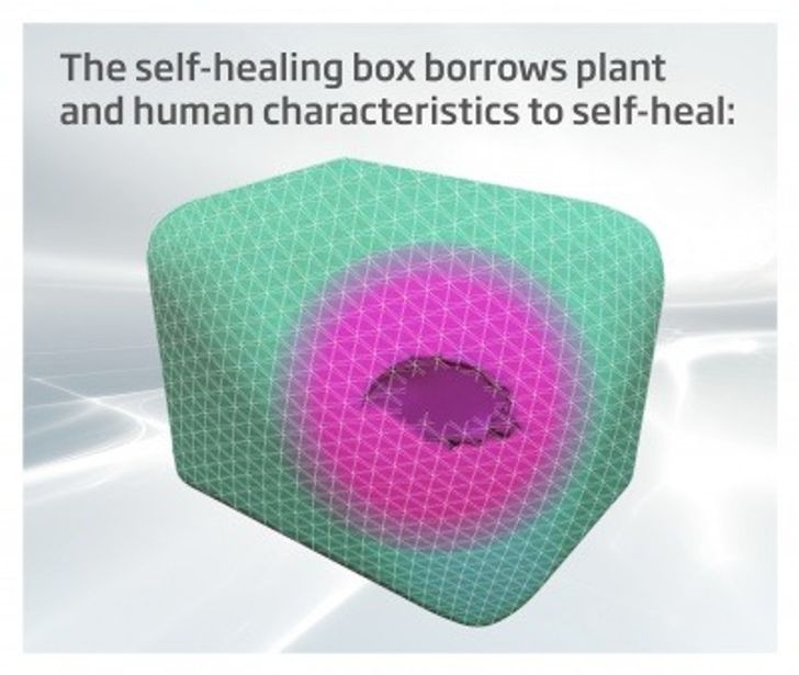 DS Smith self-healing box