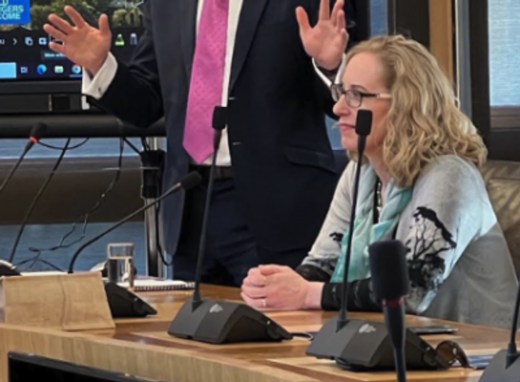 Lorna Slater Textiles Scotland