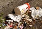 Data will be used to promote inclusion of litter in extended producer responsibility schemes