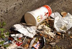 Data will be used to promote inclusion of litter in extended producer responsibility schemes