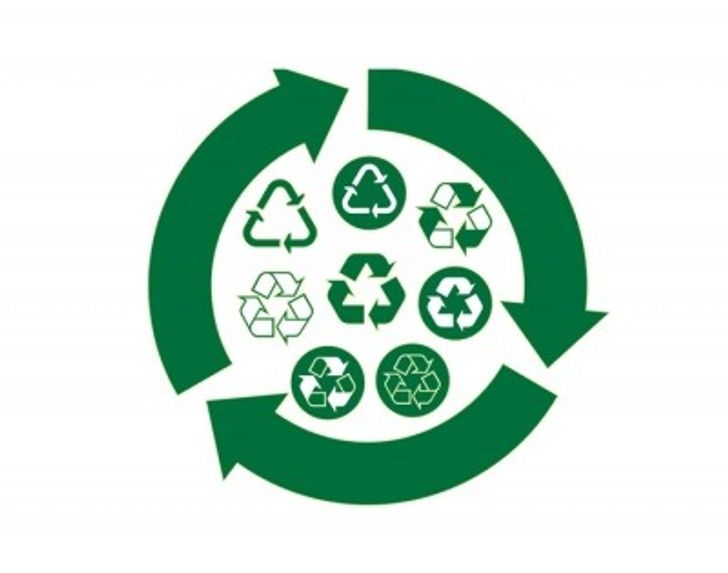 Wasted Opportunities waste reduction