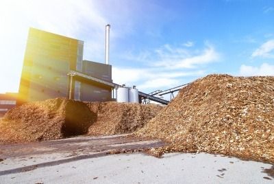 Waste wood biomass plants