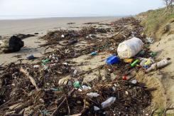 The EA-led workshop shared tips on behaviour change for local zero-waste groups in Portsmouth