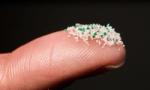 2,000 - 7,000 microplastics are being breathed in within the home on a daily basis