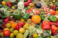 The new coalition to prevent the food waste crisis includes the National Trust, Royal Horticultural Society, Suez and the Horticultural Trade Association