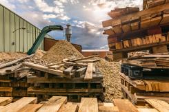 Waste and recycling firms are being urged to check whether they are meeting their legal duties for storing and processing waste wood under RPS 291 as the Environment Agency starts to actively check compliance.