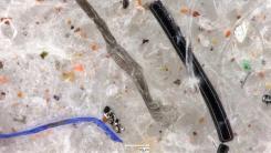 A macroscopic picture of collected microplastics close up