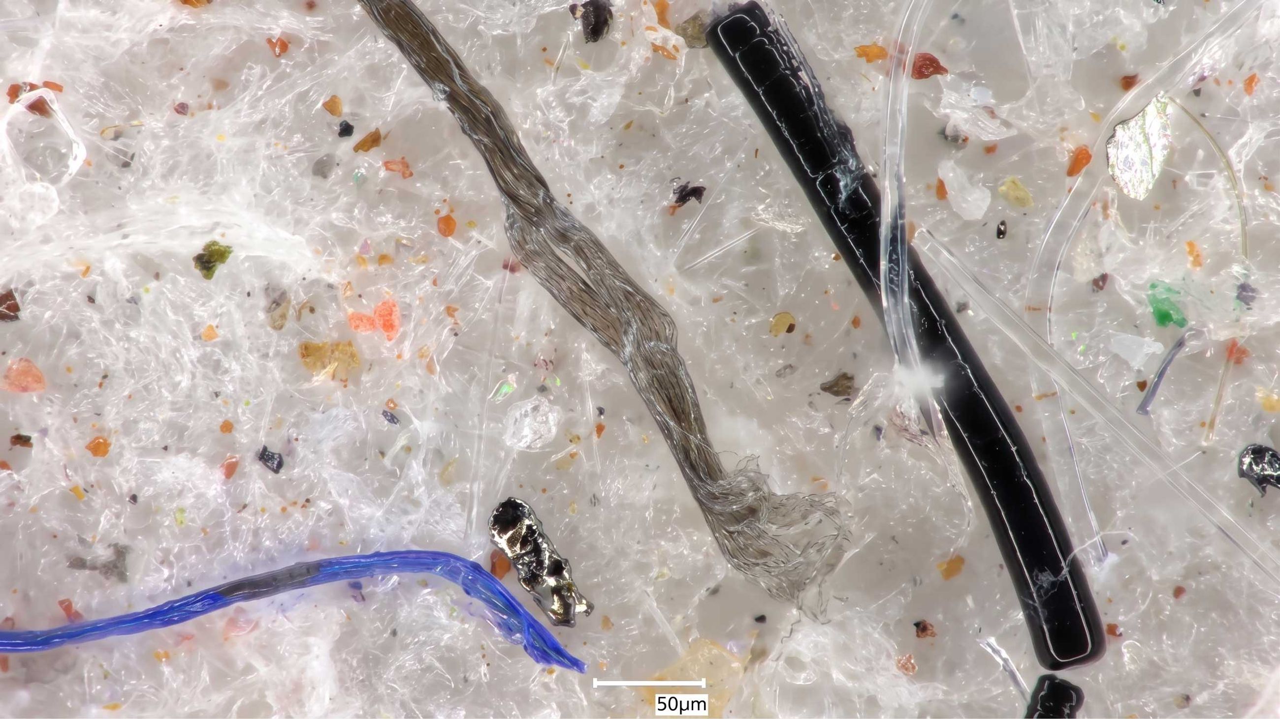 A macroscopic picture of collected microplastics close up