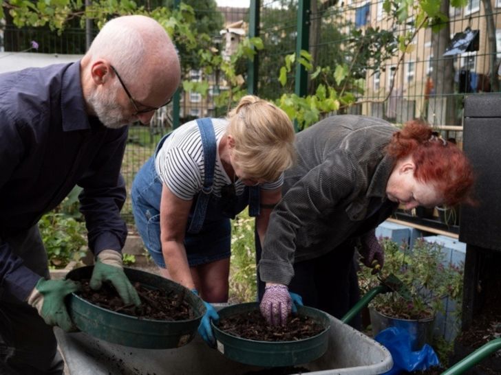 People planting in community gardening project