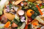 A new report has provided a baseline figure for future progress on food waste from some of the globe’s largest retailers