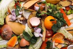 A new report has provided a baseline figure for future progress on food waste from some of the globe’s largest retailers