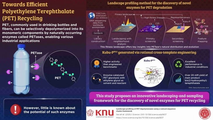 PET recycling infographic