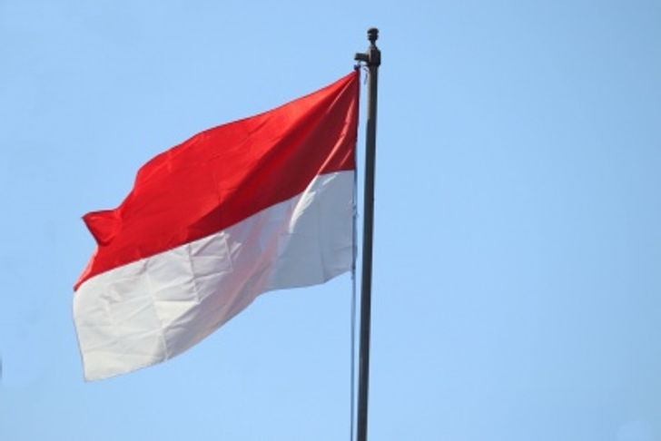 Indonesian flag 2
