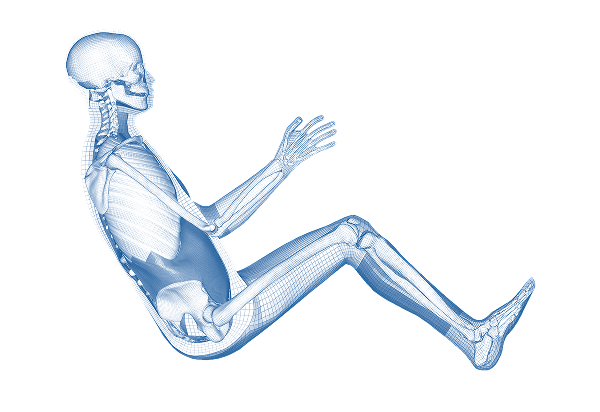 human-model