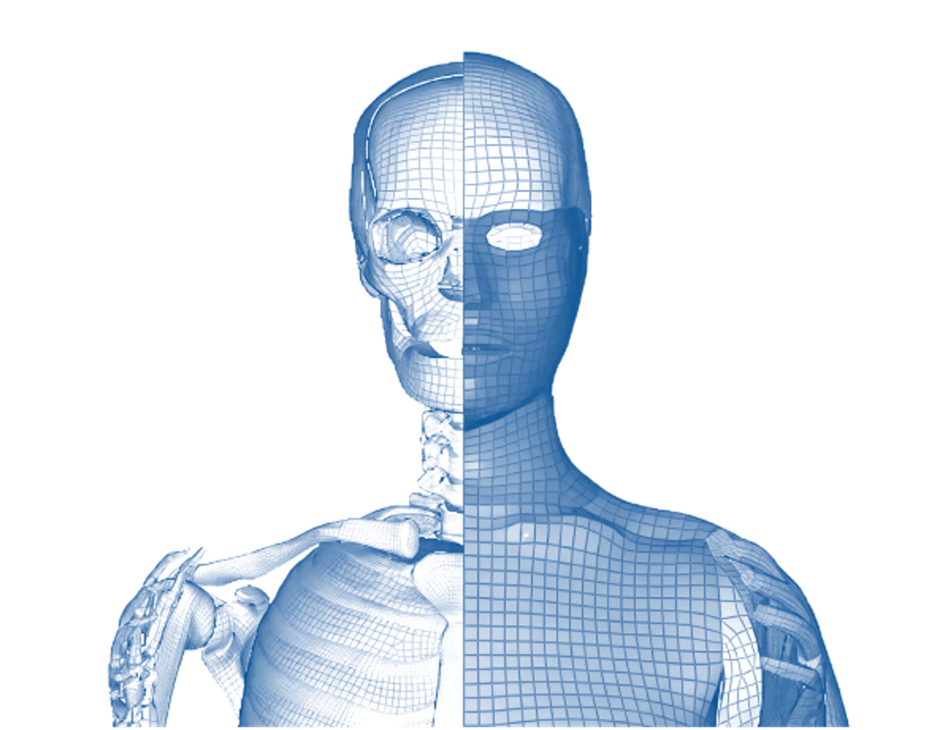 human-model