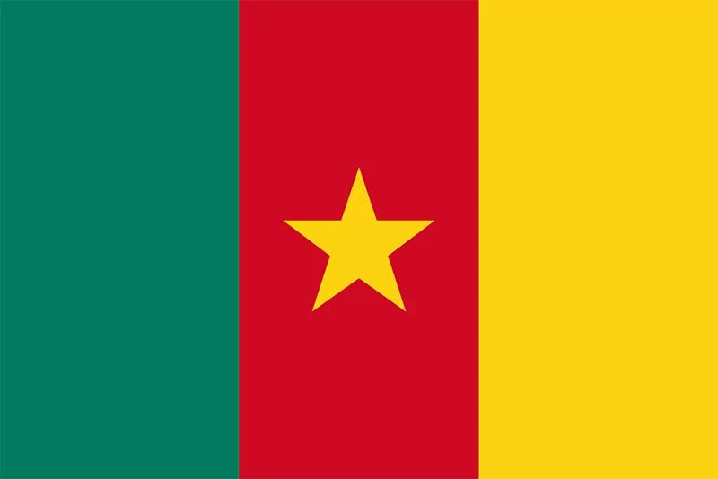Cameroon flag