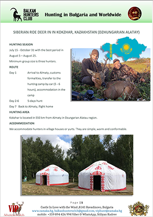 Siberian roe deer in Kokzhar, Kazakhstan (Dzungarian Alatau) preview