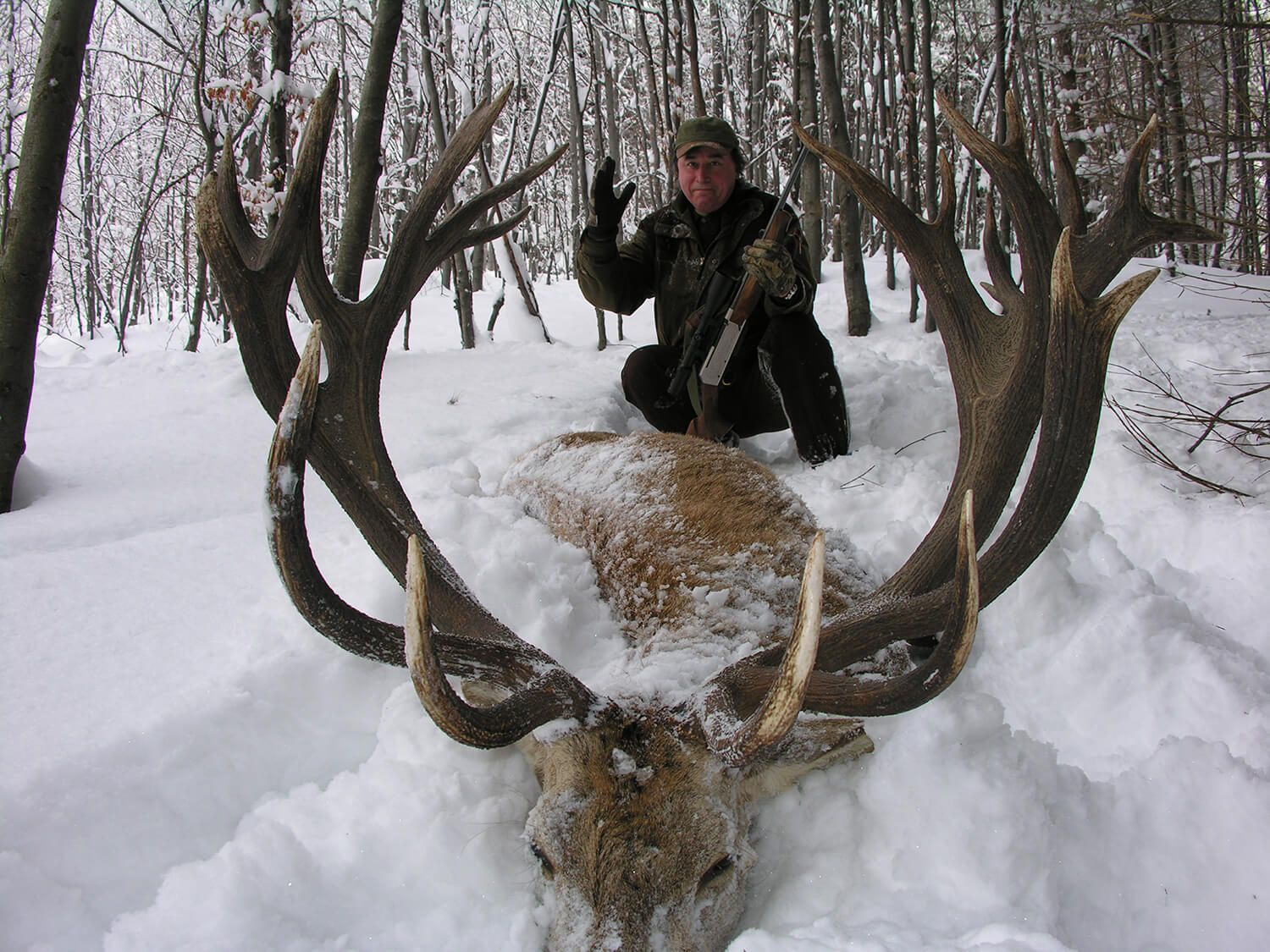 Red Deer