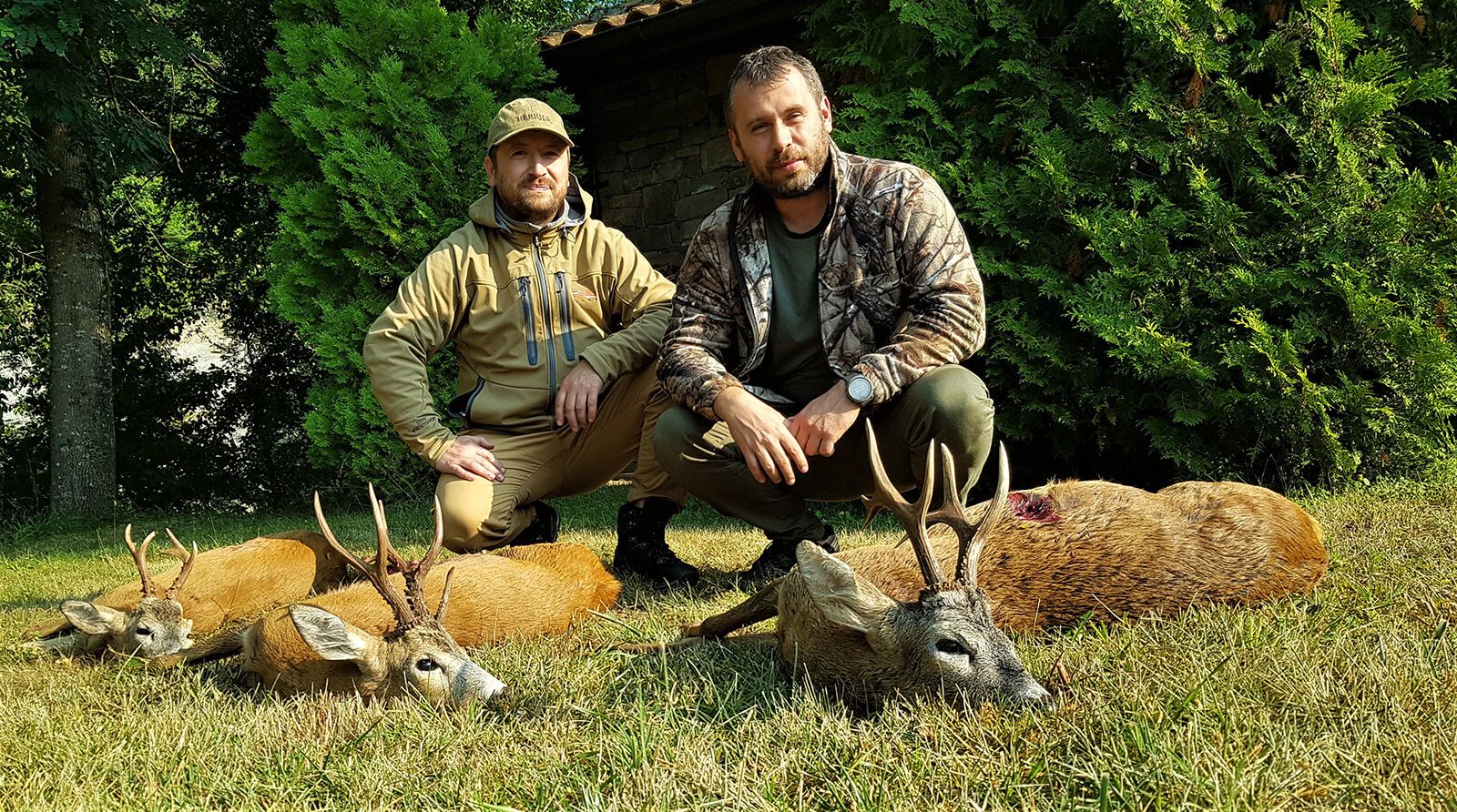Roe deer