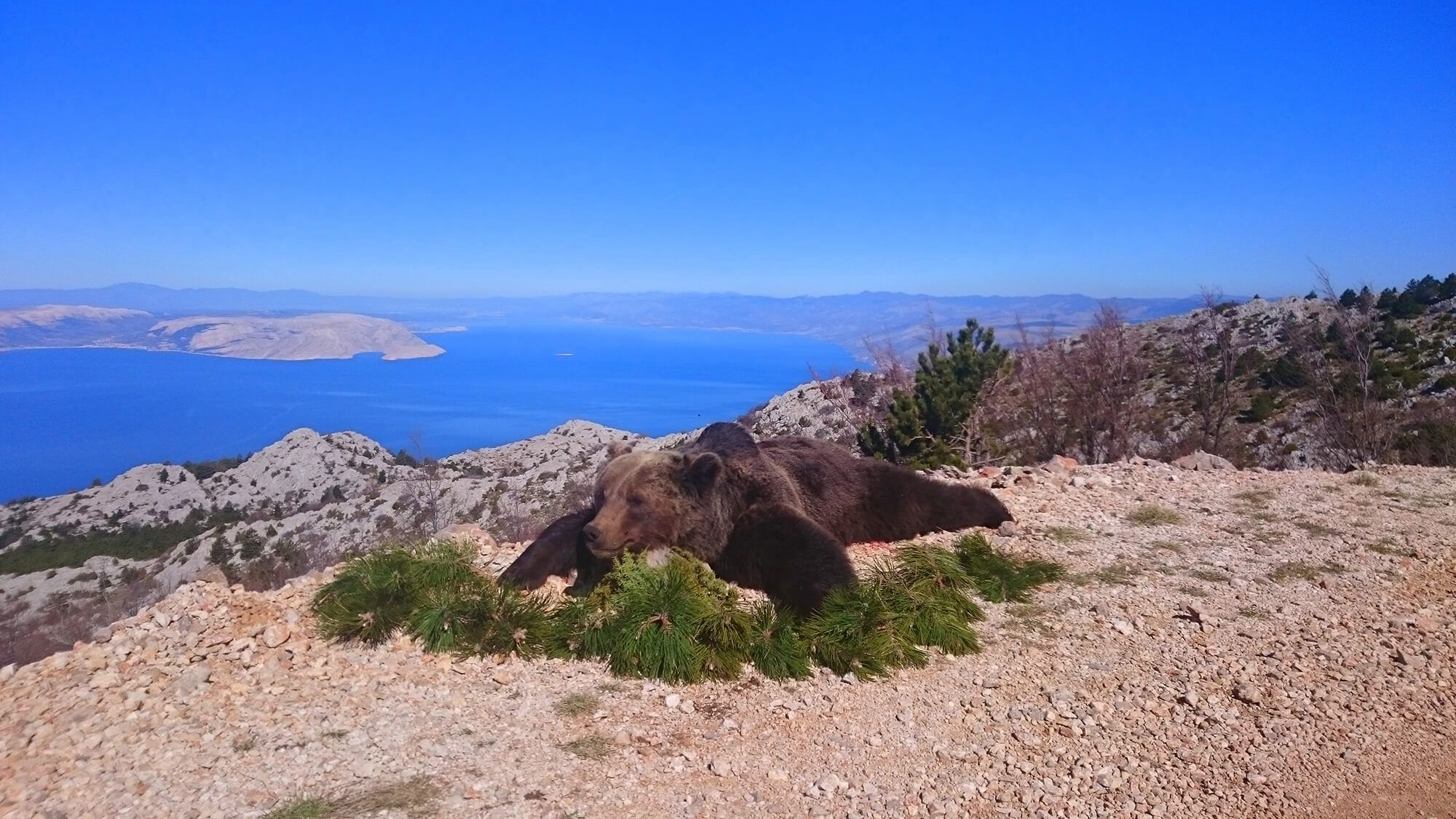 Croatia