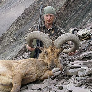 Oleg Veber