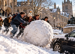 The Most Unhinged True Stories from Ivy League Campuses