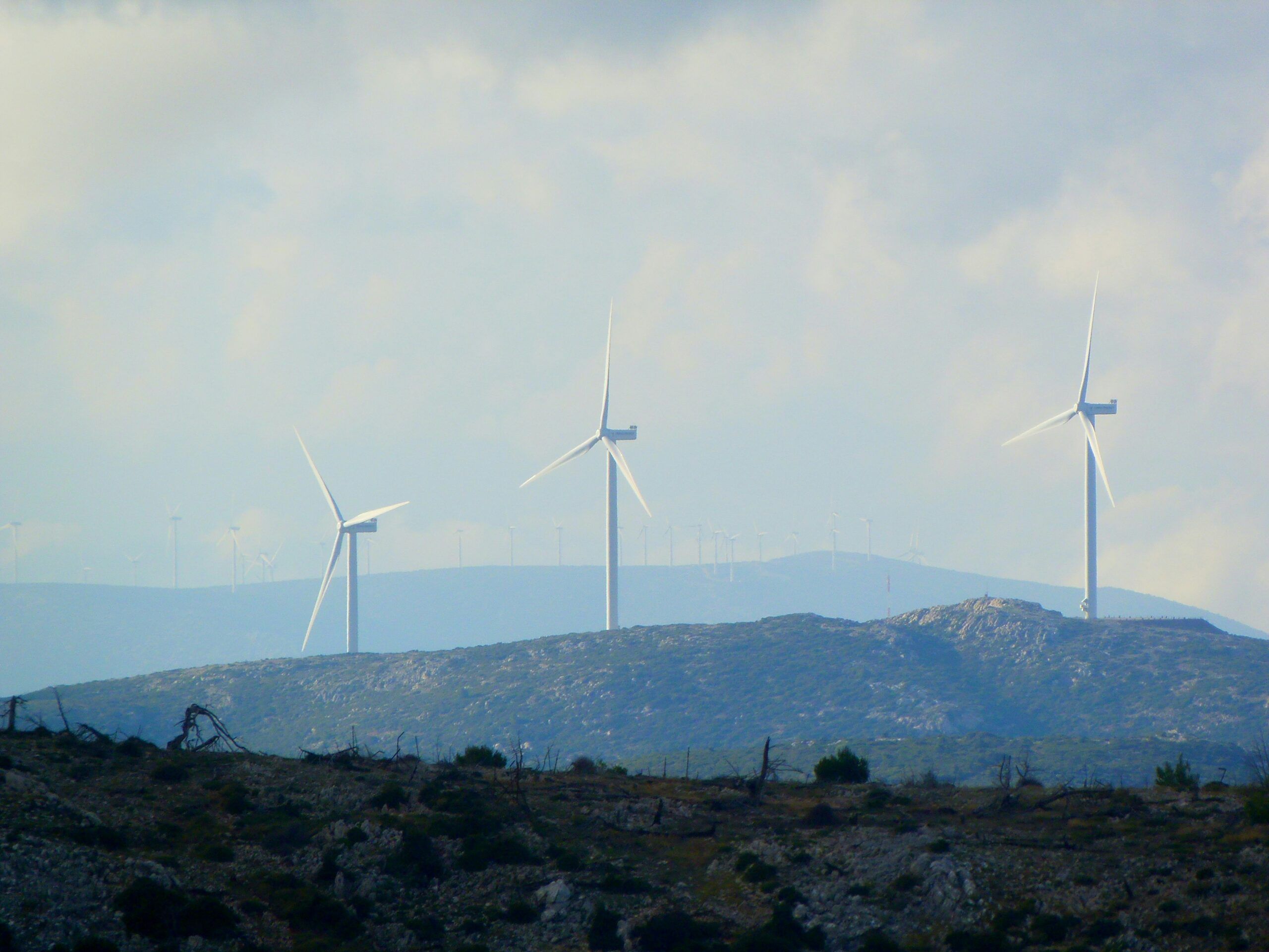 Understanding EcoVadis Scorecard: 2025 Update