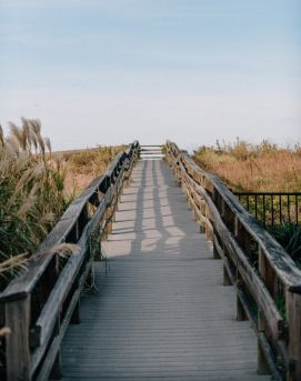 Walk leading to the beach in Norfolk