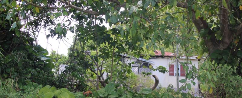 Four buildings on the compound of the Northern Caribbean University Campus, Mandeville - The Chapel, Rose Cottage, Siberia and the President's Cottage — photo 7