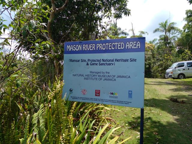Mason River Botanical Station — photo 1
