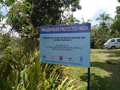 Mason River Botanical Station